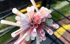 A Global Shift Countries Leading the Charge Against Single-Use Plastics