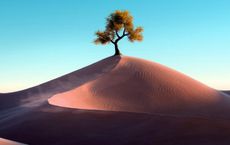 Article Image for Behavioral Economics and Pro-Environmental Choices