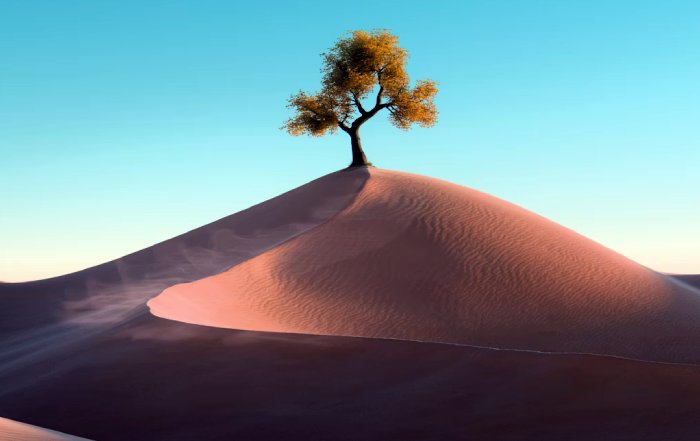 Article Image for Behavioral Economics and Pro-Environmental Choices