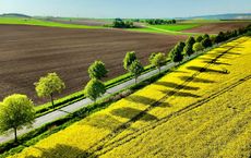 Article Image for Community-Supported Agriculture Explained