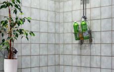 Article Image for Eco-Friendly Swaps to Make in Your Bathroom