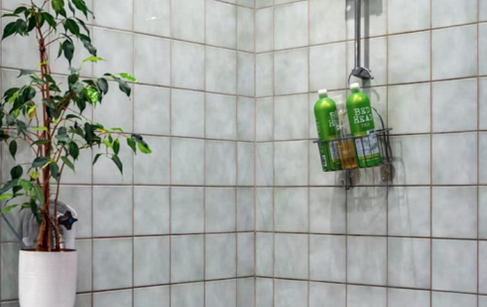 Article Image for Eco-Friendly Swaps to Make in Your Bathroom