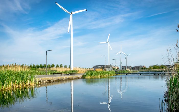Article Image for Economic Incentives for Green Choices