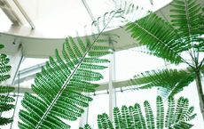 Article Image for Ethical Banking and Environmental Investment