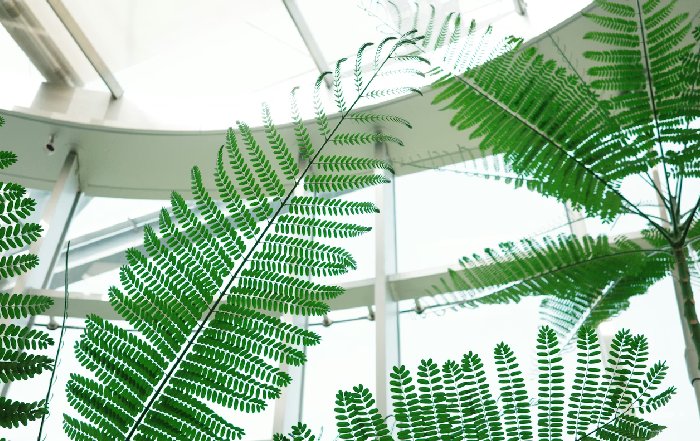 Article Image for Ethical Banking and Environmental Investment