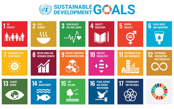 Global Sustainability Goals: Progress in 2024 and Challenges in 2025