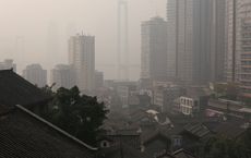 Article Image for Global Trends in Environmental Policy