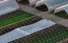 Article Image for Green Bonds and Sustainable Infrastructure