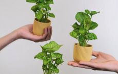 Article Image for Guide to Supporting Sustainable Startups