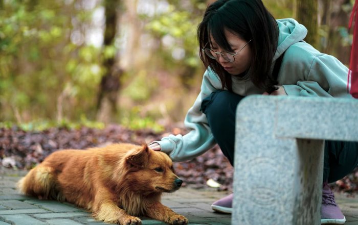 Article Image for Guide to Sustainable Pet Care