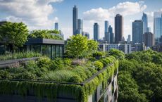 Article Image for How Green Roofs Improve Urban Sustainability