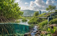 Article Image for How Nature-Based Solutions Support Climate Adaptation