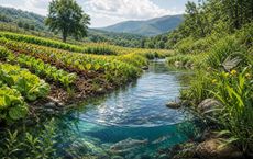 Article Image for How Organic Farming Supports Healthy Watersheds