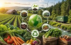 Article Image for How Organic Food Supply Chains Reduce Environmental Risk