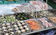 Article Image for How to Choose Sustainable Seafood Options