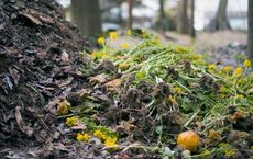 Understanding Compost A Natural Process