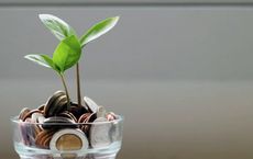 Article Image for How to Live More Sustainably on a Budget