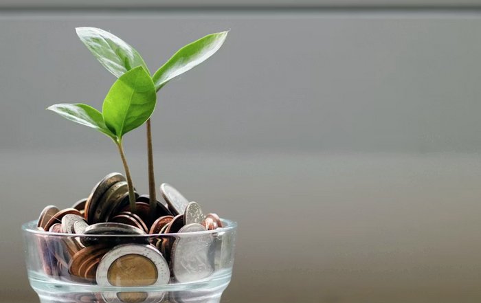 Article Image for How to Live More Sustainably on a Budget