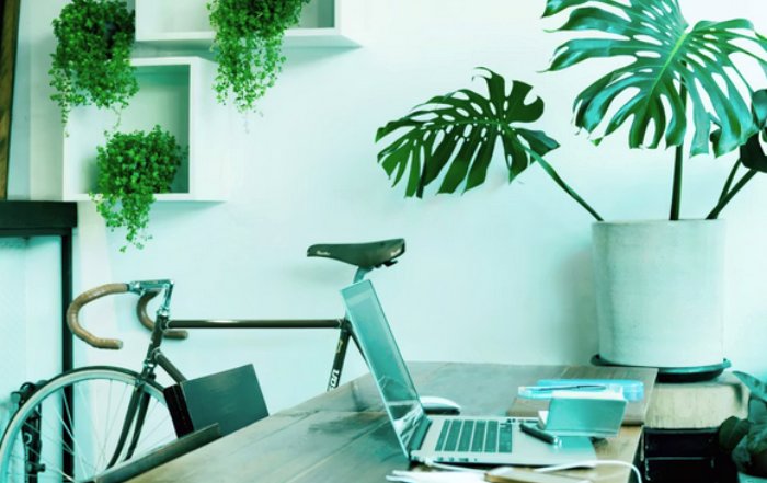 Article Image for How to Make Your Workplace More Sustainable