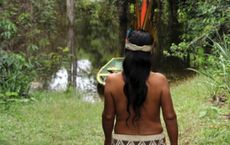 Article Image for How to Support Indigenous Conservation Efforts
