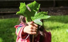 Article Image for How to Teach Kids About Sustainability