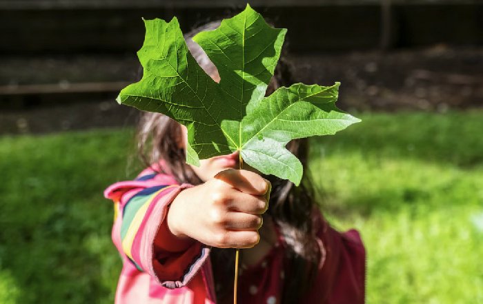 Article Image for How to Teach Kids About Sustainability
