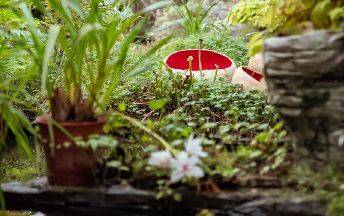 Article Image for Permaculture Principles for Home Gardeners