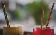 Article Image for Phasing Out Plastic Straws: Global Movements