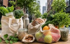 Article Image for Plastic-Free Food Shopping in Urban Neighborhoods