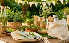 Article Image for Plastic-Free Party Planning for Homes and Communities