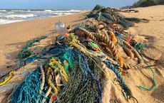 Article Image for Protecting Marine Wildlife from Plastic Pollution