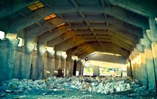 Article Image for Recycling Myths Debunked