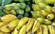 Rise of Organic Food in Asia Markets and Health
