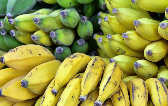 Rise of Organic Food in Asia Markets and Health