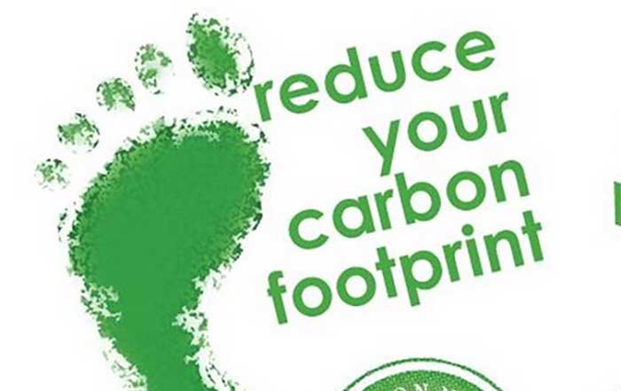 simple steps to reduce your carbon footprint