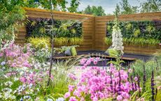 Article Image for Starting an Organic Container Garden
