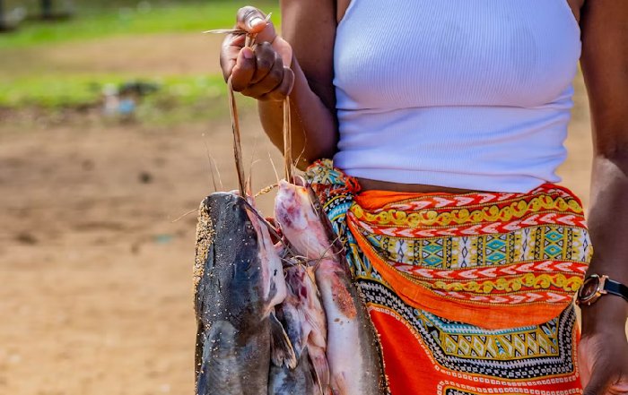 Article Image for Supporting Sustainable Fisheries
