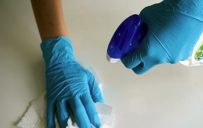 Article Image for The Benefits of Plant-Based Cleaning Solutions