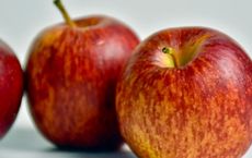 Article Image for The Connection Between Organic Diet and Health