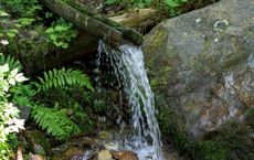 Article Image for The Importance of Clean Water Conservation