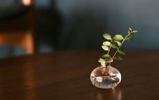 Article Image for The Minimalist Approach to Sustainable Living