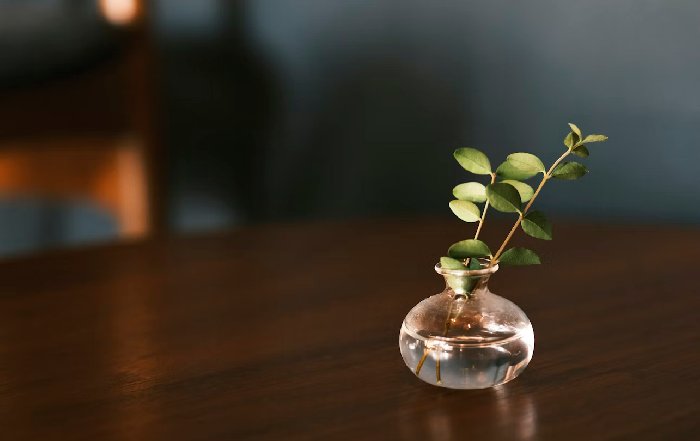 Article Image for The Minimalist Approach to Sustainable Living