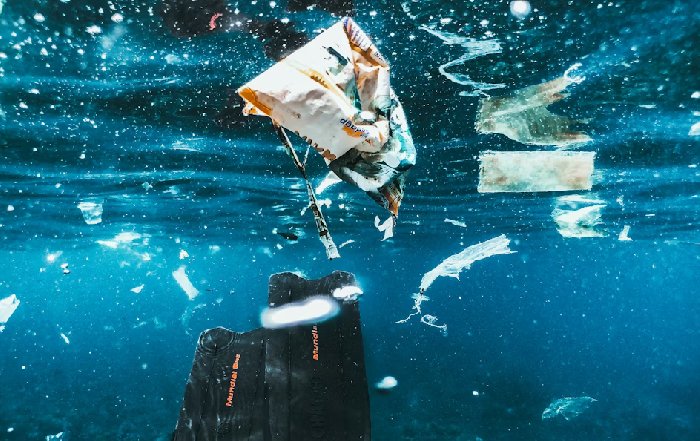 Article Image for The Problem with Microplastics in Our Oceans