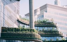 Article Image for The Rise of Sustainable Business Models