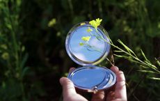 Article Image for The Role of Technology in Solving Environmental Challenges