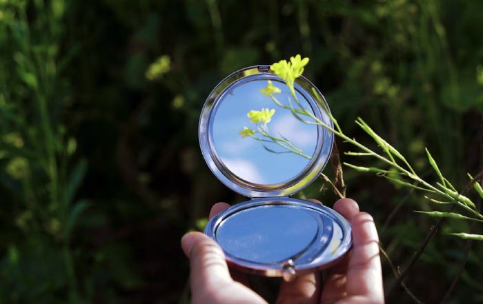 Article Image for The Role of Technology in Solving Environmental Challenges