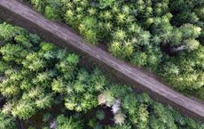 Article Image for The State of Global Forests and Reforestation