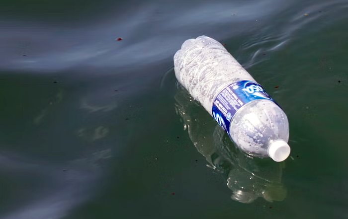 Article Image for The Truth About Biodegradable Plastics