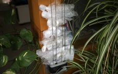 Article Image for Tips for Reducing Plastic Use at Home