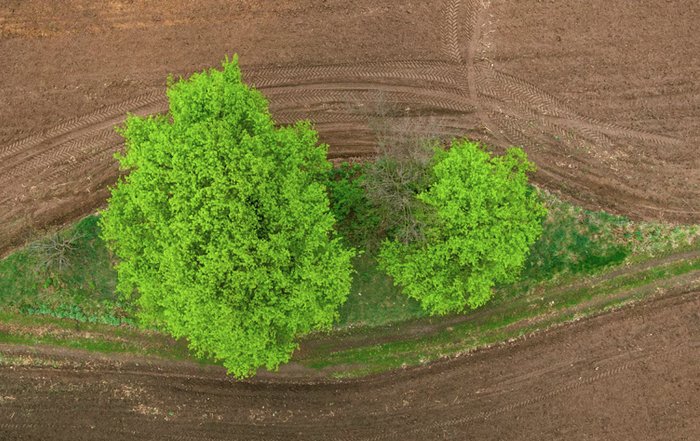 Article Image for Understanding Environmental Justice and Equity